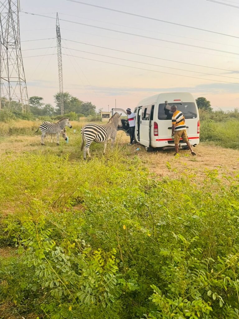 WhatsApp-Image-2024-06-13-at-8.16.02-AM-1